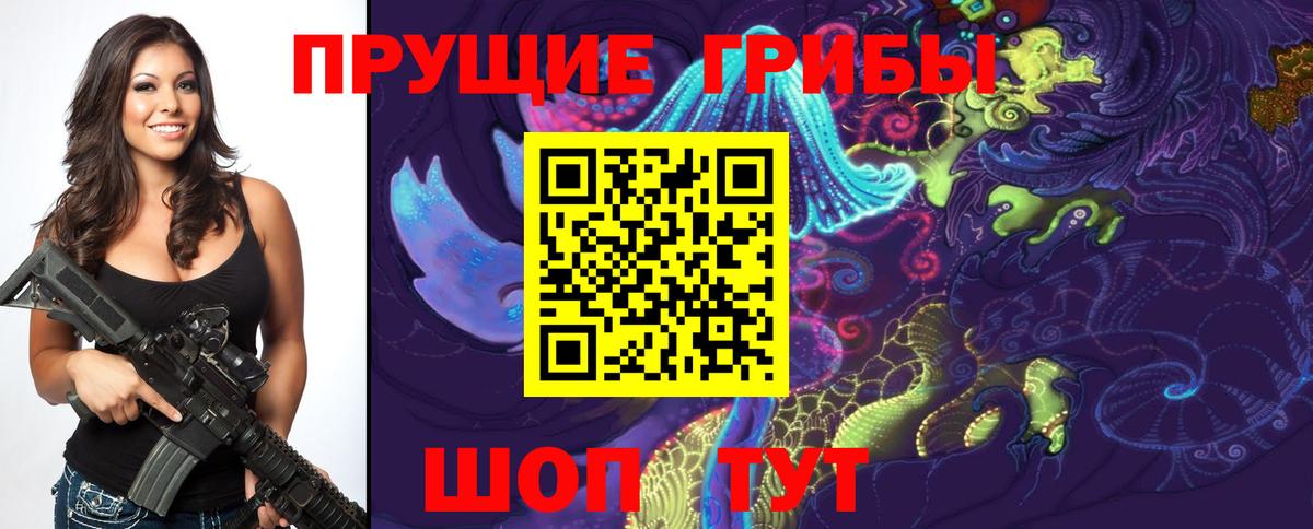наркотики  Галлюциногенные грибы MAGIC MUSHROOMS  Вход с VPN  Можайск 
